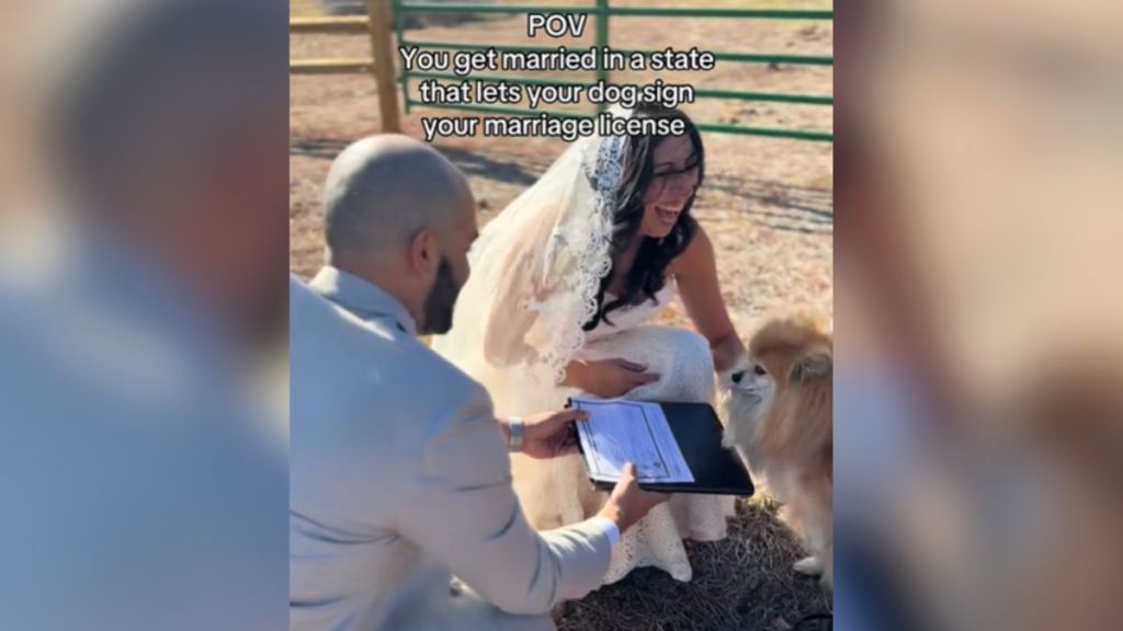 A smiling bride in between her groom, who is holding the marriage license, and a small dog.