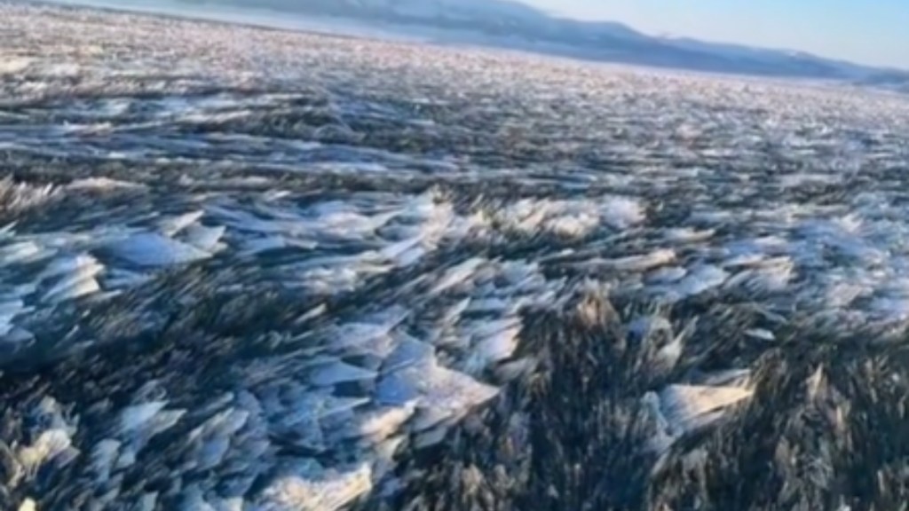 Close up of frozen waves as the water underneath moves