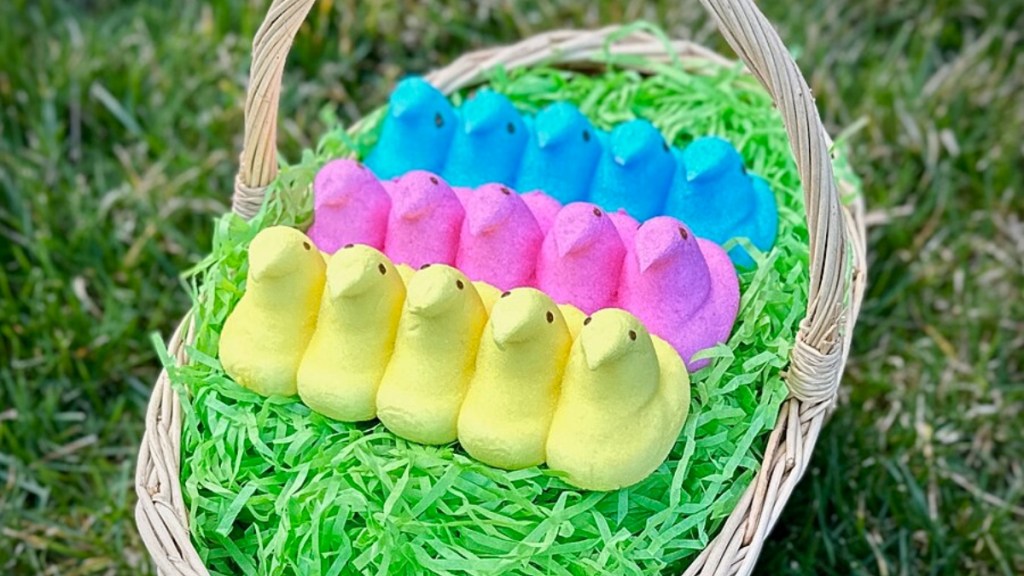 An Easter basket rests on grass outside. Inside the basket is bright green "grass." There are three rows of Peeps. One row is blue, the second is pink, and the third is yellow