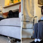 Left image shows Pickles peeking out from his hiding spot. Right image shows Grandma reuniting with her cat.