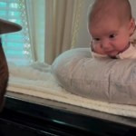 Close up of a man sitting at a piano, playing. On top of the piano is a baby resting on her tummy on something comfy. She rests her chin on her tiny fists, looking closely at dad.