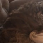 A brown Australian Shepherd lays on the couch, facing away from the camera. She's looking over out of the corner of her eye